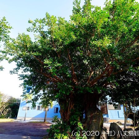 Kokumin Shukusha Sun Marina Hotel Hachijo Eksteriør billede