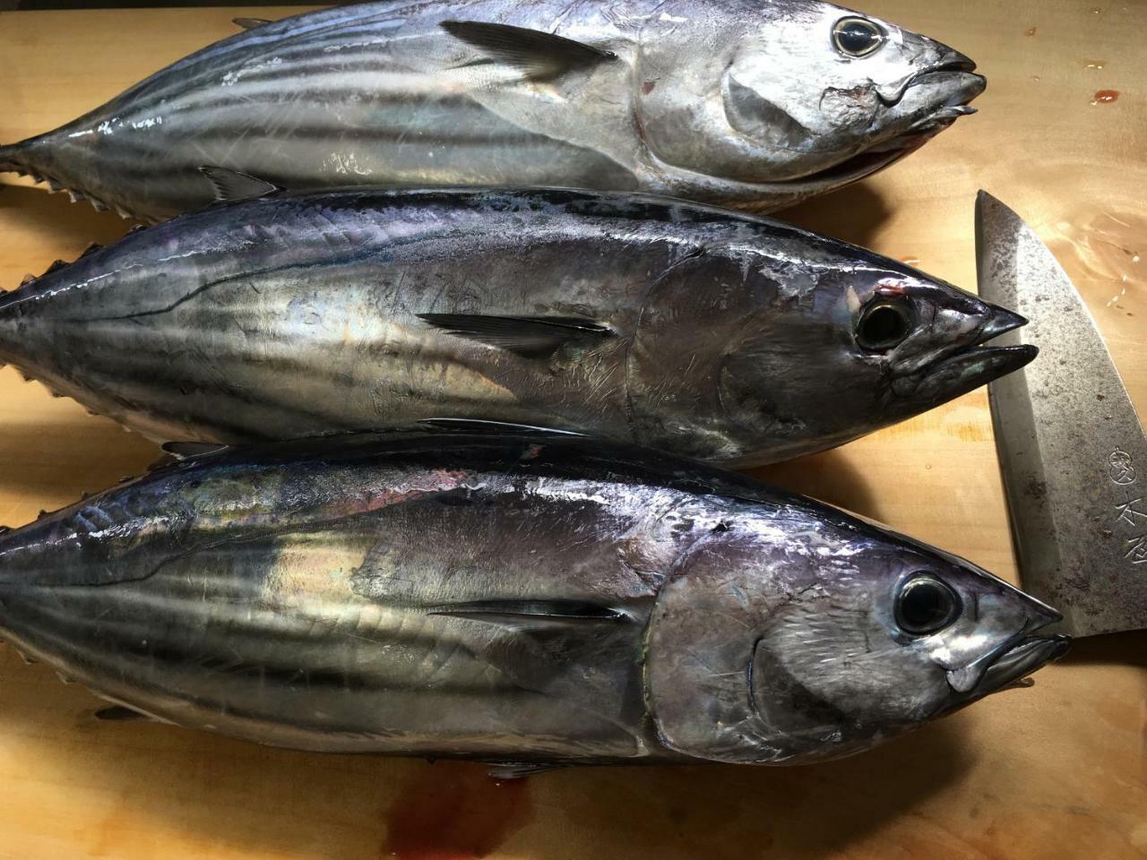 Kokumin Shukusha Sun Marina Hotel Hachijo Eksteriør billede